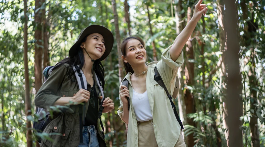 Exploring nature in the forest