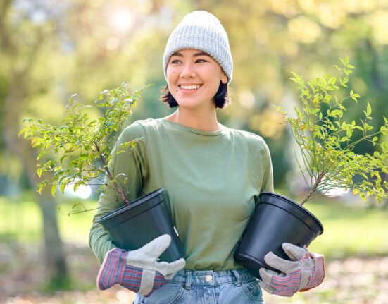 Plants gardening woman volunteering agriculture