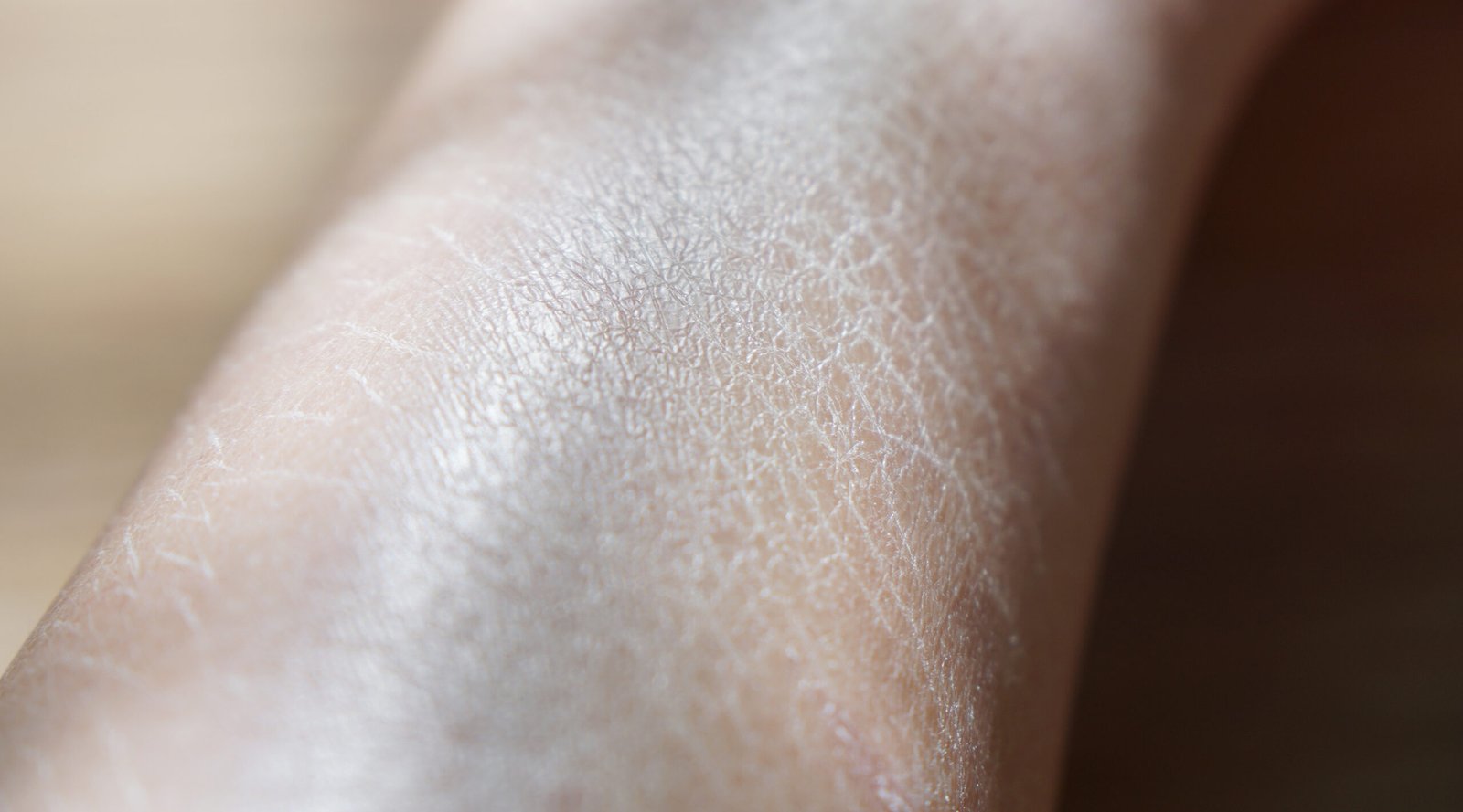 Closeup on leg body part middle